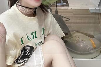 XINGYAN星颜社 – 晨晨Cherry兔女郎魅惑写真套图资源，带你进入梦幻般的视觉盛宴