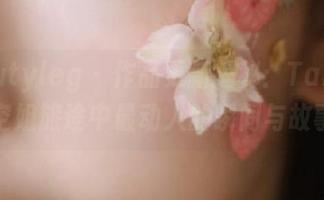 beautyleg – 作品更新揭秘：Tammy空姐旅途中最动人的瞬间与故事