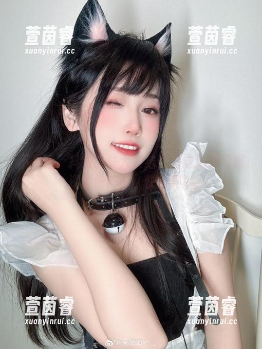 不呆猫 不呆猫、抖娘、獒犬集结!海边泳装原图资源抢购中,快来啊!