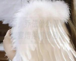 全新图包更新，乔依丝公园篇为您的视觉盛宴增添缤纷色彩