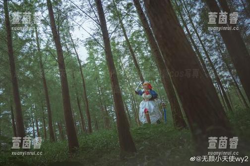 迷人“无颜小天使wy”以女仆造型打造的独特cos写真，感受可爱与优雅的完美结合！