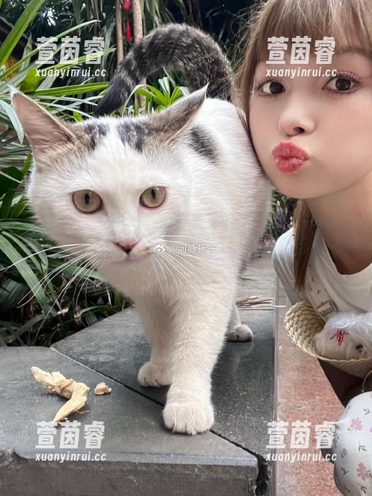 河豚抚子 全新发布!河豚抚子奶牛摄影精选合集,带你领略不一样的风情