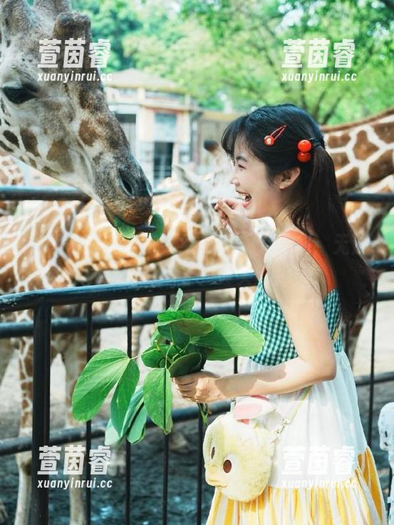 美媛馆-王馨瑶 美媛馆 - 王馨瑶婚纱写真集大揭秘:无滤镜原图让你看到真实的她!