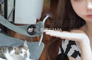 尽情欣赏雪琪SAMA黑丝JK的精品图片合集，时尚与艺术的完美交融